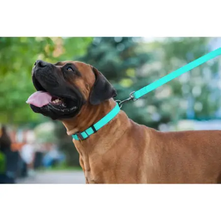 Поводок для собак водостойкий WAUDOG Waterproof, светящийся, L-XXL, Ш 25 мм, Дл 183 см