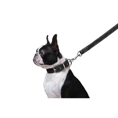 Поводок Dog Extreme нейлоновый двойной (ширина 20мм, длина 122см) черный