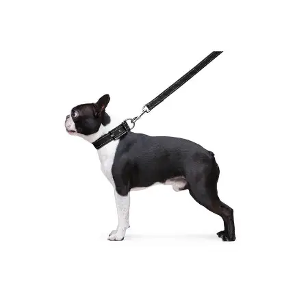 Поводок Dog Extreme нейлоновый двойной (ширина 20мм, длина 122см) черный