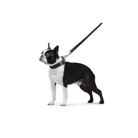 Поводок Dog Extreme нейлоновый двойной (ширина 20мм, длина 122см) черный