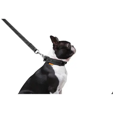 Поводок Dog Extreme нейлоновый двойной (ширина 20мм, длина 122см) черный