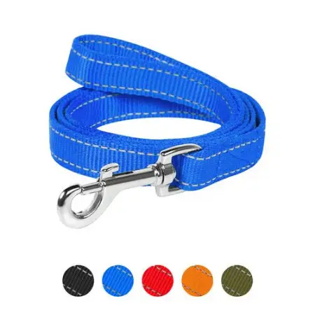 Поводок Dog Extreme нейлоновый двойной (ширина 25мм, длина 122см) голубой