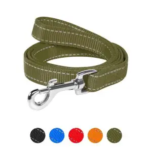 Повідець Dog Extreme з нейлону подвійний (ширина 25мм, довжина 122см)  хакі