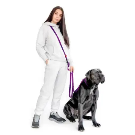 Поводок-перестежка для собак WAUDOG Nylon Mono, светоотражающий, М, Ш 20 мм, Дл 300 см, фиолетовый