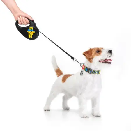 Повідець-рулетка для собак WAUDOG R-leash, малюнок "Дім", S, до 15 кг, 5 м, світловідбиваюча стрічка чорний