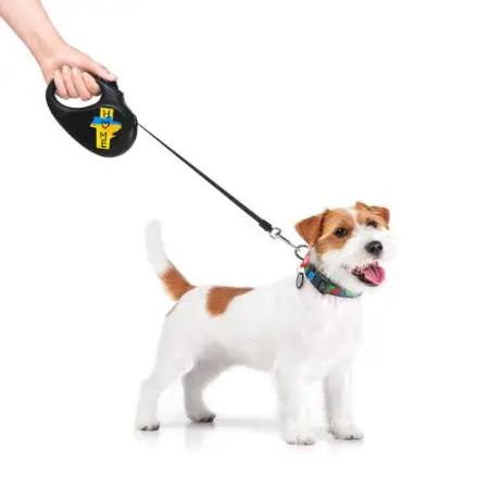 Повідець-рулетка для собак WAUDOG R-leash, малюнок "Дім", S, до 15 кг, 5 м, світловідбиваюча стрічка чорний