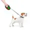 Поводок-рулетка для собак WAUDOG R-leash, рисунок Калина, S, до 15 кг, 5 м, светоотражающая лента черный