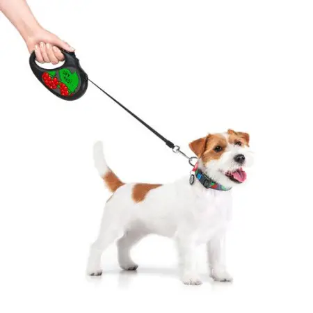 Поводок-рулетка для собак WAUDOG R-leash, рисунок Калина, S, до 15 кг, 5 м, светоотражающая лента черный