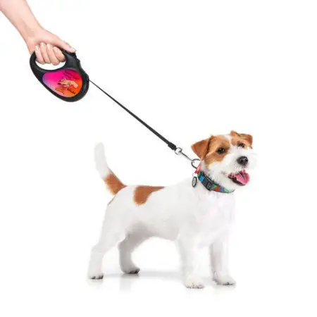 Повідець-рулетка для собак WAUDOG R-leash, малюнок "Конотопські магічні війська", S, до 15 кг, 5 м, світловідбиваюча стрічка чорний