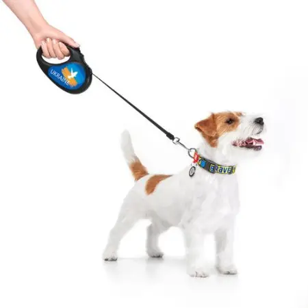 Повідець-рулетка для собак WAUDOG R-leash, малюнок "Прапор", M, до 25 кг, 5 м, світловідбиваюча стрічка чорний