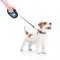 Повідець-рулетка для собак WAUDOG R-leash, малюнок "Прапор", S, до 15 кг, 5 м, світловідбиваюча стрічка чорний
