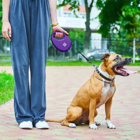 Поводок-рулетка для собак WAUDOG R-leash с контейнером для пакетов, светоотражающая лента, L, до 40 кг, 5 м, фиолетовый