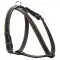 Шлея "CoLLaR" одинарна для малих порід собак (ширина 14мм, А:40-48см, В:43-51см) чорний