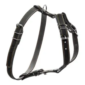 Шлея "CoLLaR" одинарна для малих та середніх собак (ширина 20мм, А:40-56см, В:57-65см) чорний