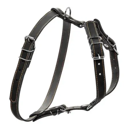 Шлея "CoLLaR" одинарна для малих та середніх собак (ширина 20мм, А:40-56см, В:57-65см) чорний