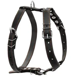 Шлея "CoLLaR" одинарна для середніх собак (ширина 25мм, А:49-68см, В:68-80см) чорний