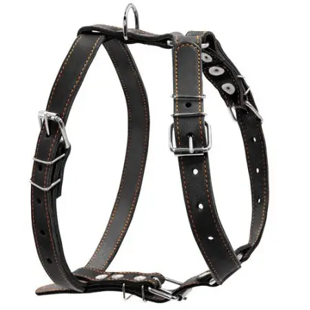 Шлея "CoLLaR" одинарна для середніх собак (ширина 25мм, А:49-68см, В:68-80см) чорний