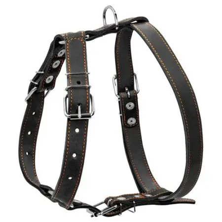 Шлея "CoLLaR" одинарна для середніх собак (ширина 25мм, А:49-68см, В:68-80см) чорний