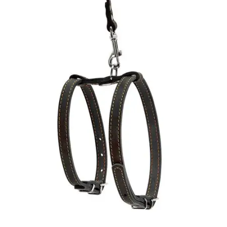 Шлея "CoLLaR" з повідцем для малих собак (ширина 14мм, дов. 122см) чорний