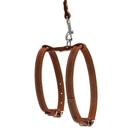 Шлея CoLLaR с поводком для мелких собак (ширина 14мм, А:27-35см,В:35-45см, длина 122см) коричневый