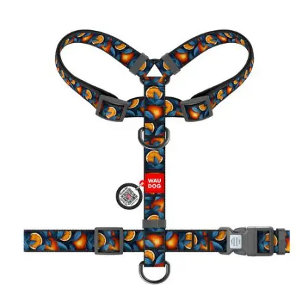 Шлея для собак анатомічна H-подібна WAUDOG Nylon з QR-паспортом, малюнок "Апельсини", пластиковий фастекс, L, Ш 25 мм, А 52-88 см, В 60-100 см