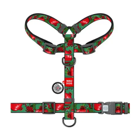 Шлея для собак анатомический H-образный WAUDOG Nylon с QR-паспортом, рисунок "Гранаты", пластиковый фастекс, М, Ш 20 мм, А 40-70, В 50-80