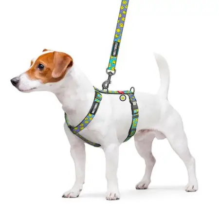 Шлея для собак анатомічна H-подібна WAUDOG Nylon з QR-паспортом, малюнок "Смайли на блакитному", пластиковий фастекс, S, Ш 15 мм, A 30-45 см, B 36-45 см
