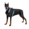 Шлея для собак безопасная WAUDOG Nylon c QR паспортом, металлическая пряжка-фастекс, XL, Ш 25 мм, А 60-95 см, В 80-100 см голубой