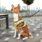 Шлея для собак м'яка WAUDOG Clothes з QR-паспортом, малюнок "Рік та Морті 3", S1 B 40-45 см, C 29-31 см