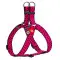 Шлея для собак WAUDOG Nylon з QR паспортом, малюнок "Кавун", пластиковий фастекс, XL, Ш 35 мм, А=В 70-100 см