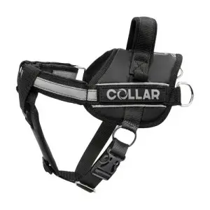 Шлея "Dog Extreme" "POLICE" №2 (В:40-60см), чорний