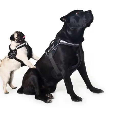 Шлея "Dog Extreme" "POLICE" №2 (В:40-60см), чорний