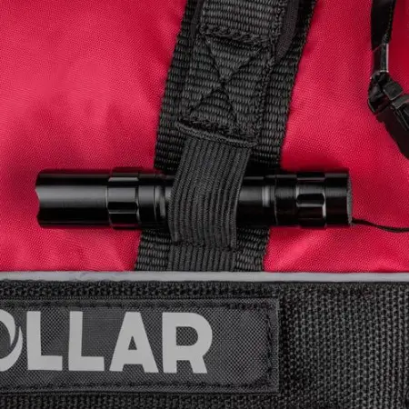 Шлея "Dog Extreme" "POLICE" №5 з ліхтариком (В:85-115см) чорний