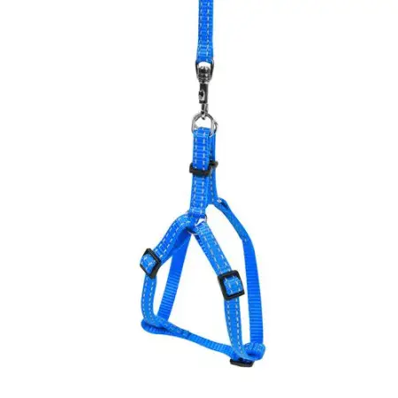 Шлея "Dog Extreme" з нейлону регульована з повідцем (ширина 14мм, В:40-55см) блакитний