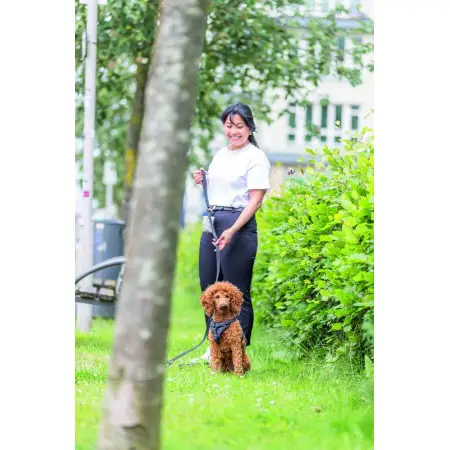 Шлея Trixie CityStyle H-harness для собак бавовна L–XL 75–120 см 25 мм чорна