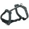 Шлея Trixie CityStyle H-harness для собак бавовна XS–S 30–44 см 10 мм чорна
