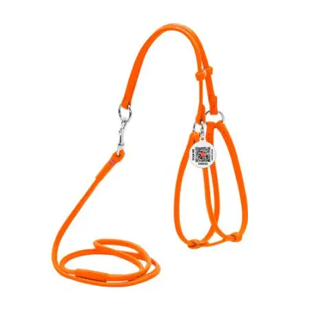 Шлея с поводком для собак кожаная WAUDOG Glamour c QR паспортом, круглая, Д 6 мм, А 42-60 см, В 46-64 см оранжевый