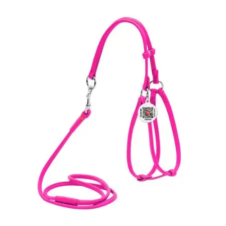 Шлея с поводком для собак кожаная WAUDOG Glamour c QR паспортом, круглая, Д 6 мм, А 42-60 см, В 46-64 см розовый