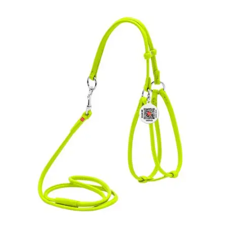 Шлея с поводком для собак кожаная WAUDOG Glamour c QR паспортом, круглая, Д 6 мм, А 42-60 см, В 46-64 см салатовый
