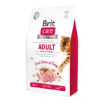 Сухой корм Brit Care Cat GF Adult Activity Support для кошек, живущих на улице, индейка и курица, 2 кг