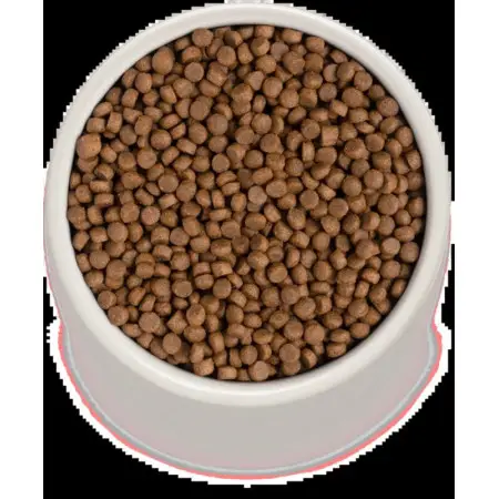 Grandorf Living Probiotics 4 MEAT and BROWN RICE INDOOR - Грандорф Сухой корм 4 вида мяса Индор для взрослых кошек 2 кг