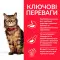 Hill's Science Plan Adult Sensitive Stomach&Skin Сухий корм для котів із чутливим травленням та шкірою, з куркою, 1,5 кг