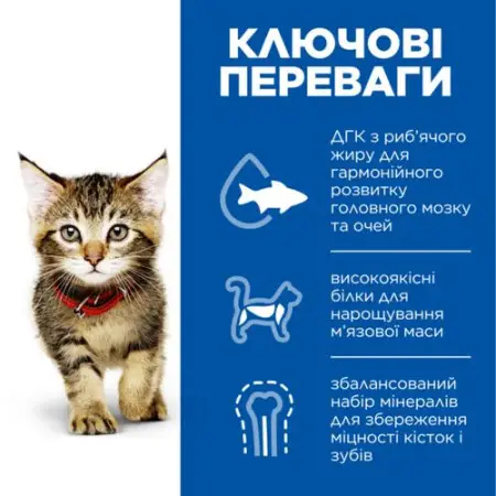 Hill's SCIENCE PLAN Kitten Сухий корм для кошенят і кішок у період вагітності та лактації, з куркою, 1,5 кг