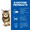 Hill's SCIENCE PLAN Kitten Сухий корм для кошенят і кішок у період вагітності та лактації, з куркою, 1,5 кг
