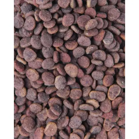 Корм сухий для котів Carnilove True Fresh Cat Turkey з індичкою, 4,8 кг