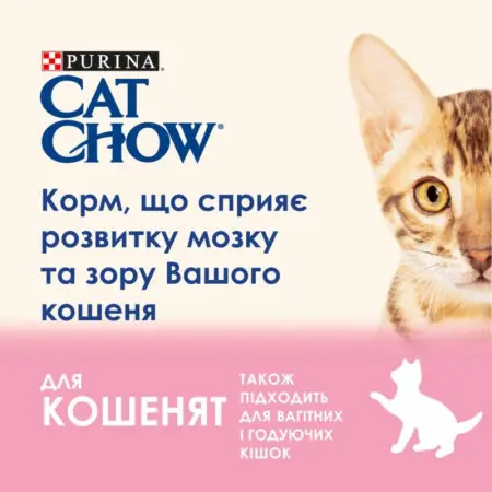 Сухой корм для котят Cat Chow Kitten, с курицей, 15 кг