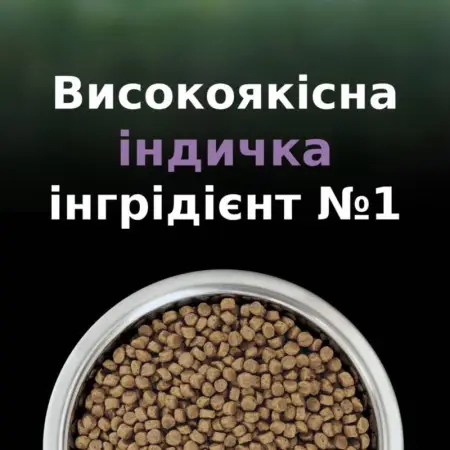Сухой корм для котят для уменьшения аллергенов на шерсти Purina Pro Plan LiveClear Kitten, с индейкой, 1,4 кг