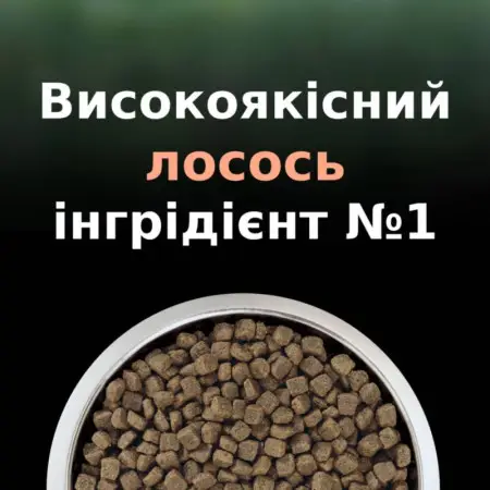 Сухой корм для стерилизованных кошек для уменьшения аллергенов на шерсти Purina Pro Plan LiveClear Sterilised Adult, с лососем, 1,4 кг