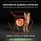 Сухой корм для стерилизованных кошек Purina Pro Plan Sterilised Adult 1+ Vital Functions, с лососем, 10 кг
