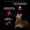 Сухой корм для стерилизованных кошек Purina Pro Plan Sterilised Savoury Duo, с уткой и печенью, 1,5 кг